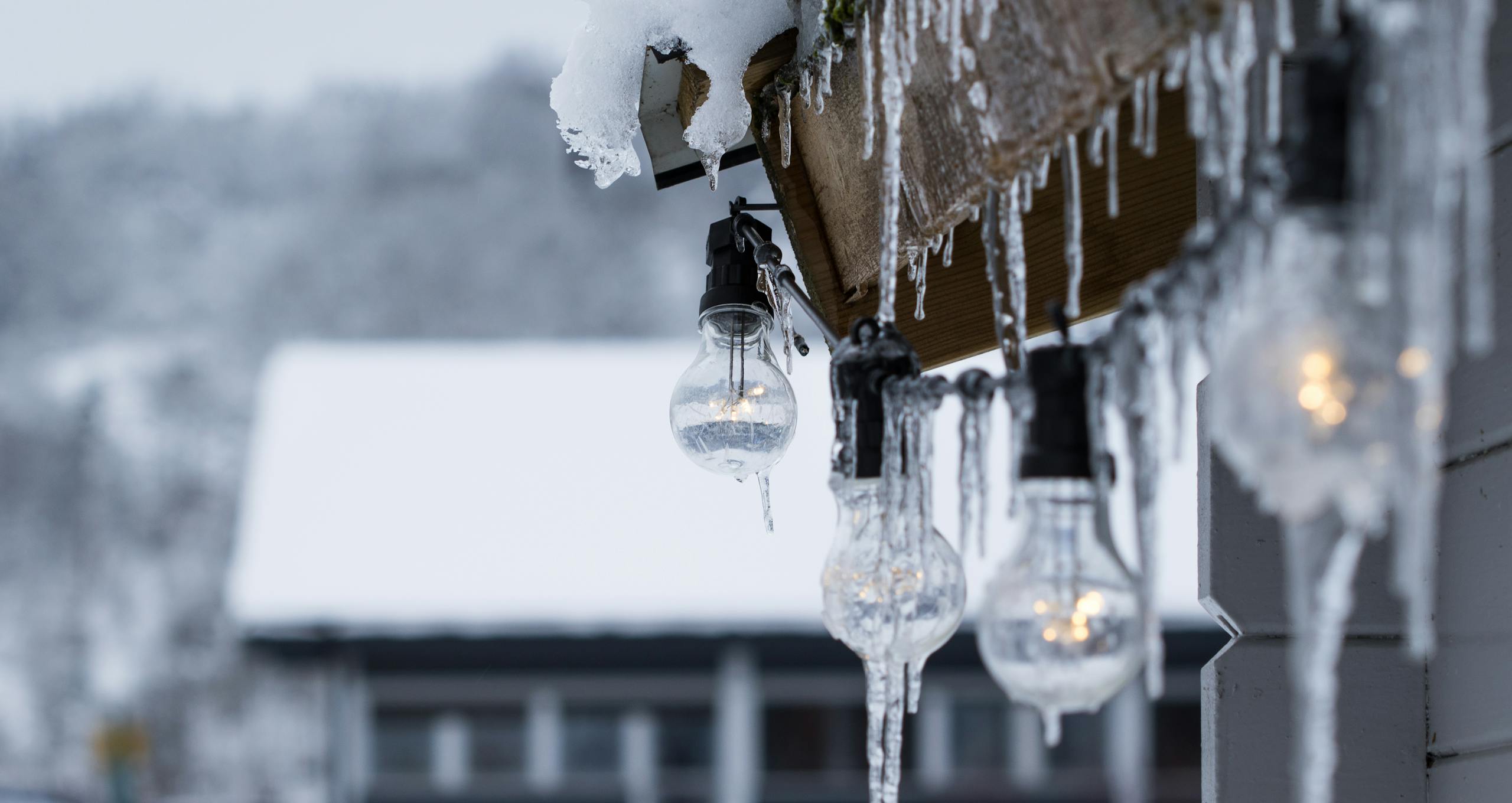 Close-up of hanging lightbulbs covered in icicles against a snowy winter backdrop.